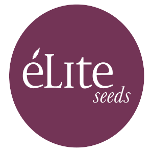 Elite Seeds