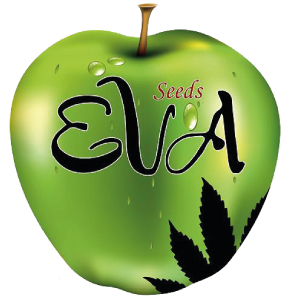 Eva Seeds