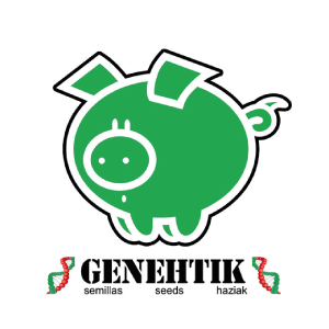 Genehtik Seeds