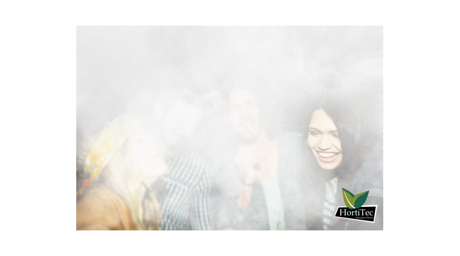 Fumadores pasivos de cannabis: ¿es posible colocarse?