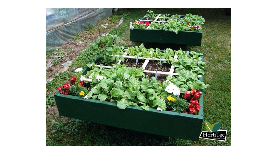 Vegetales que crecen a la sombra