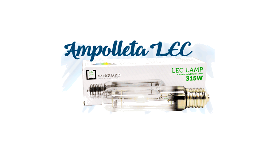 Ampolletas LEC
