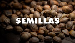 SEMILLAS DE COLECCIÓN