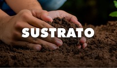 SUSTRATOS