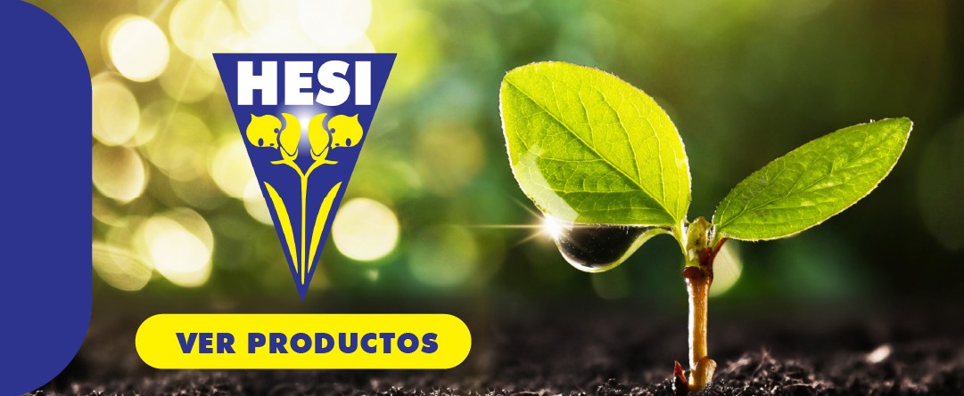 HESI