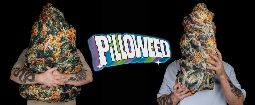 PILLOWEED
