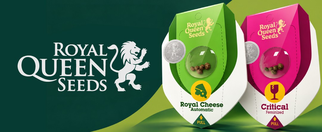 ROYAL QUEEN SEEDS