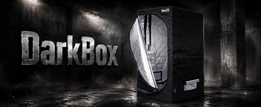 DARKBOX