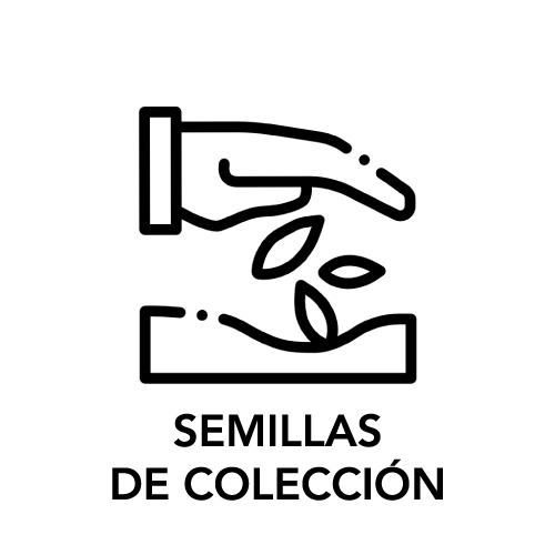 SEMILLAS DE COLECCIÓN