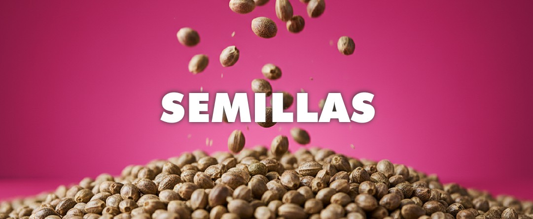 SEMILLAS