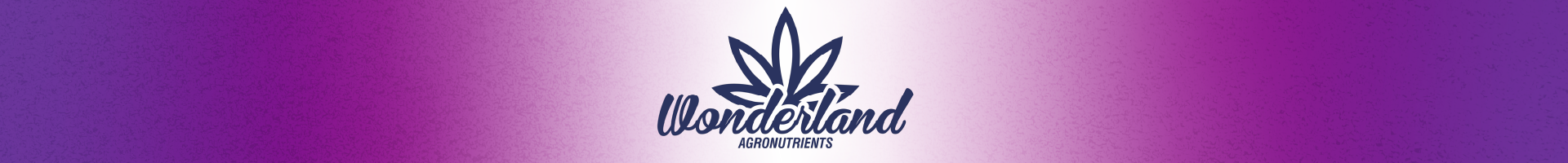 wonderland