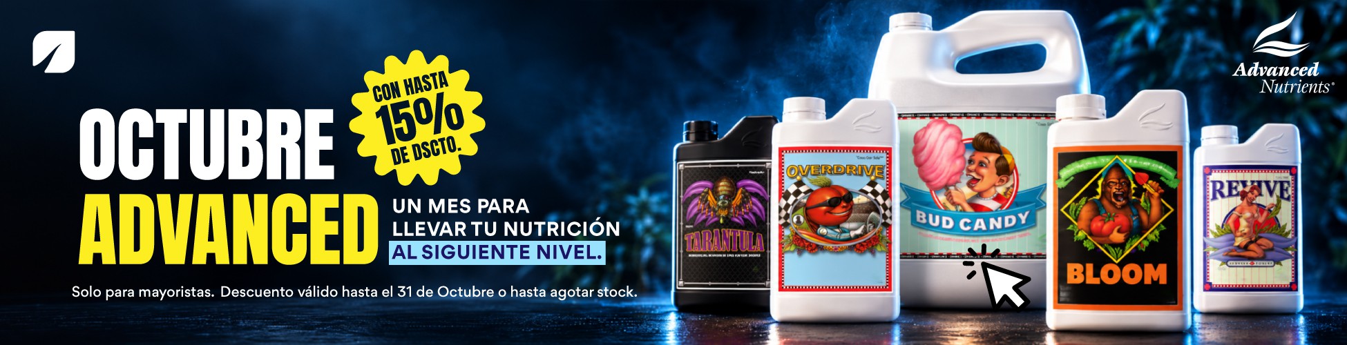 ADVANCED 15% DE DESCUENTO