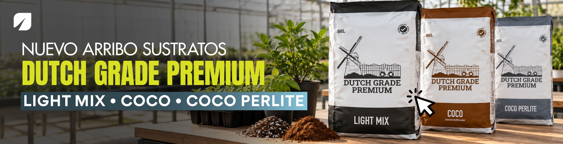 DUTCH GRADE PREMIUM 