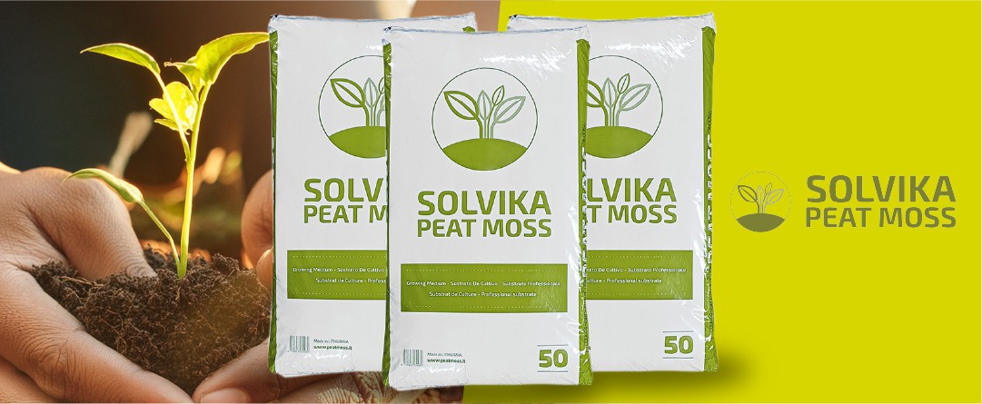 SOLVIKA
