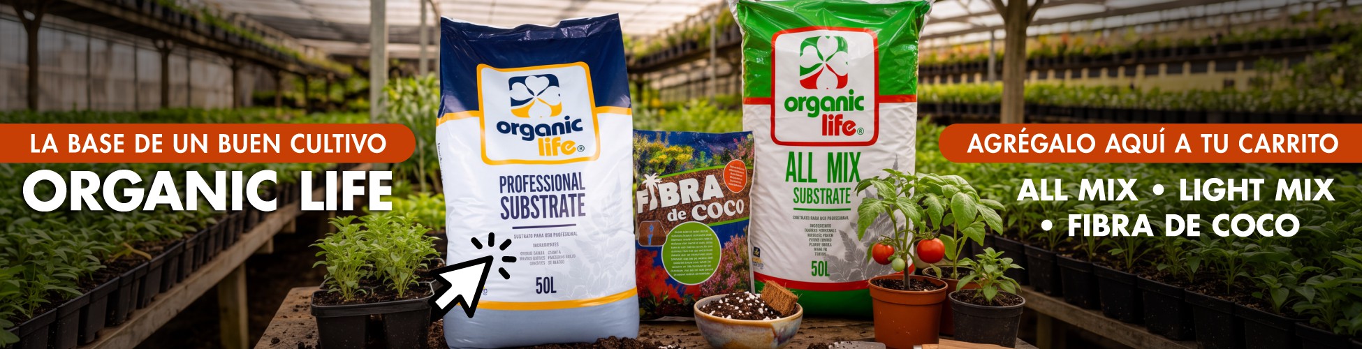 ORGANIC LIFE
